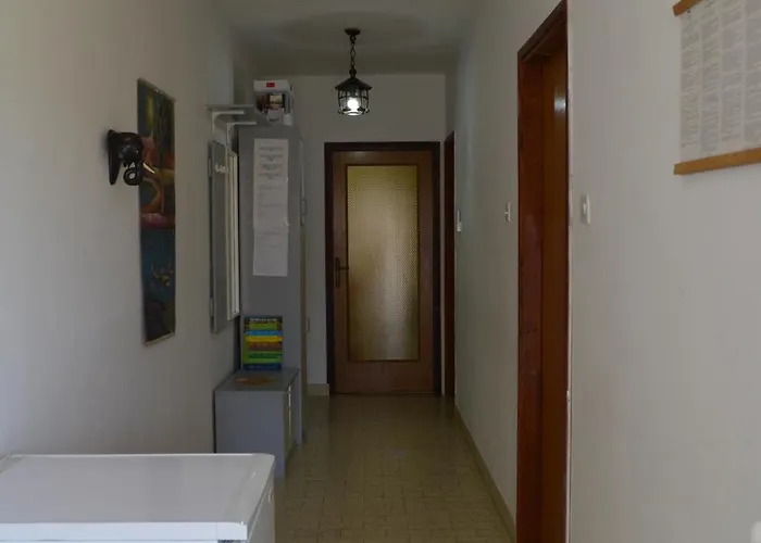Aneva 1 *