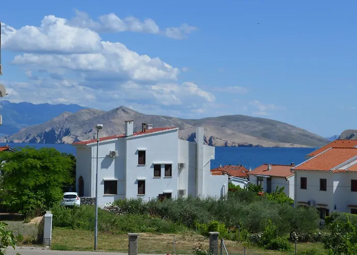 Aneva 1